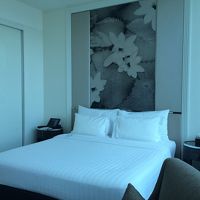 天井が高く明るい客室