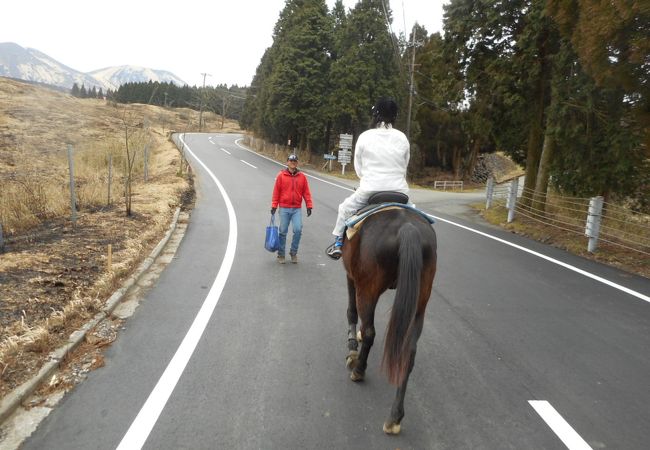 阿蘇ハイランド乗馬クラブ エルパティオ乙姫