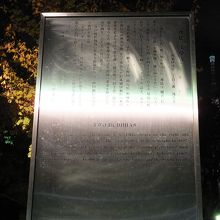夜でも案内板を読むことが出来る明るさでした。