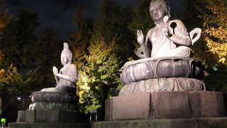 夜もライトアップされてきれいです