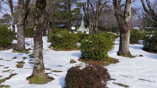 幕末の動乱期の大老