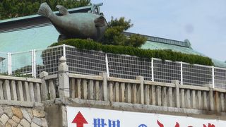 世界一のふく(河豚)の像があります!!