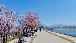 日本最古のため池  1周3kmの遊歩道は環境最高