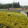 上海植物園