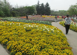 上海植物園