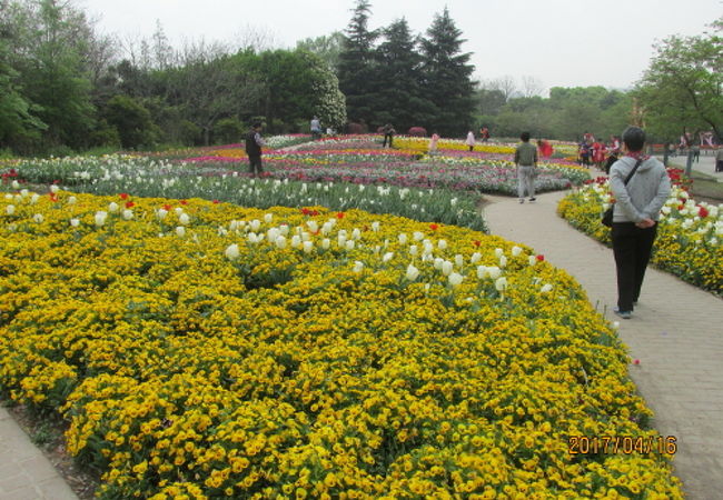 上海植物園