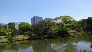 池尾調和して良い景色。