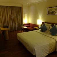 とても広い客室