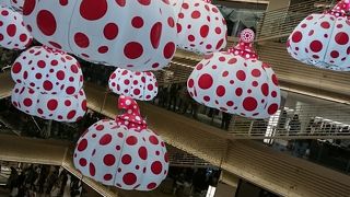 話題の施設、大混雑