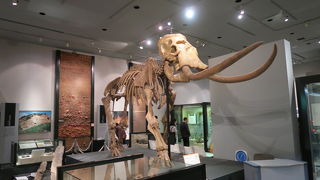 歴史エリアがなかなかの見どころ！