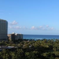 確かにシービュー