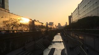 散歩にぴったり！