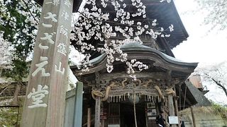 自然の桜と知恵のお堂のコントラスト