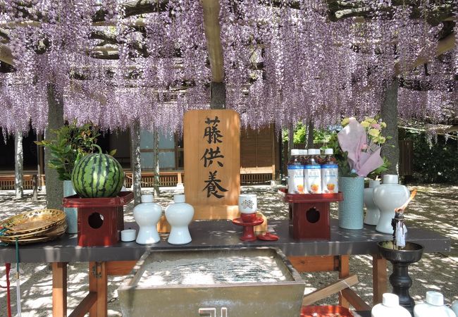 武蔵寺 クチコミ アクセス 営業時間 大宰府 フォートラベル