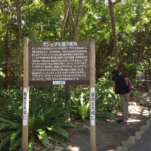 入り口付近の案内