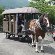 乗ると決めたら予約がおすすめ