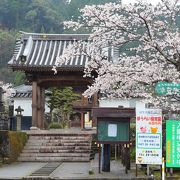 人吉の歴史と深く係わってきた寺院