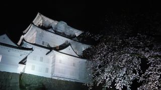 ライトアップしていました。