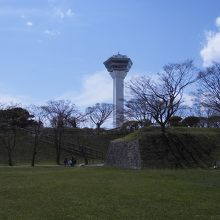公園側からのタワー