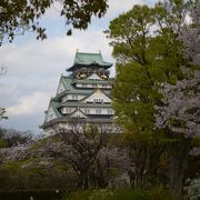 桜がきれいでした！