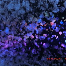 もっときれいに見せてくれましたよ