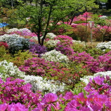 能代公園