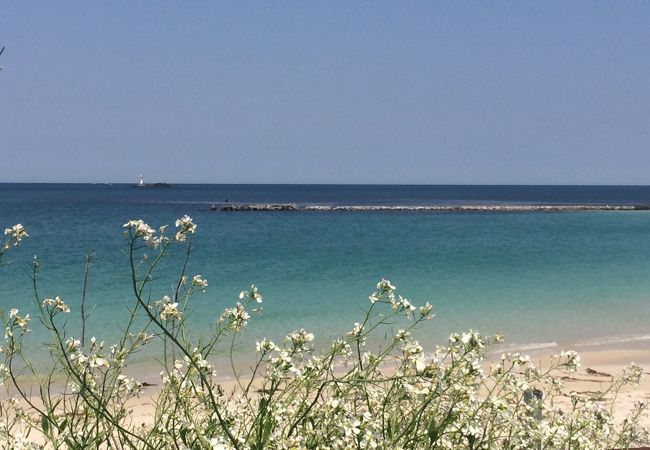 白い砂浜と美しい青い海