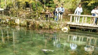 雨の後は濁ります