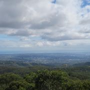 アデレードの街が見える！