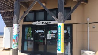 角島の粒ウニをGet!