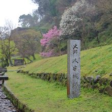 人吉城址の碑