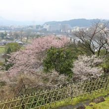 三の丸跡からの眺め