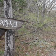 滝に行くまでの遊歩道も楽しめます