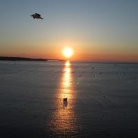 部屋からの眺めです。日の出です。