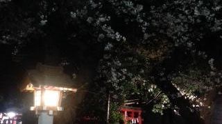 花園神社の境内にあります