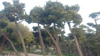 初めて行きました