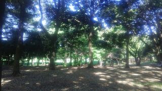 野川公園と一緒に