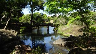 水辺と木々がいやしてくれる。