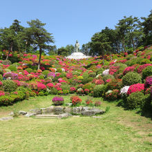 正面に観音さま