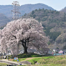 歩いて向かう途中、後ろの鉄塔が少しうざい