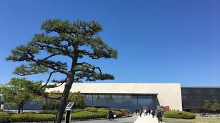 行く価値あります