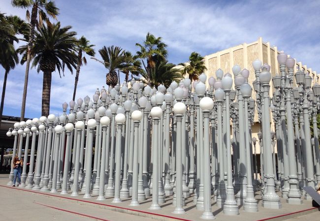 ロサンゼルス カウンティ美術館 (LACMA)