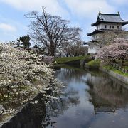 「桃源郷」と形容すべき道南随一の花見公園