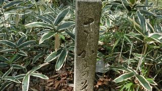 流れに沿った緑陰の小径