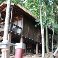 レインフォレストシャレー