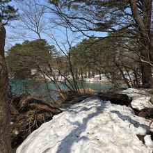4月中旬の五色沼のハイキングコース