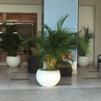 クヒオ通り側のロビーがリニューアル