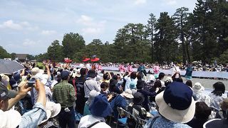 京都三大祭りの１つ葵祭り