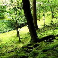 これも素晴らしい