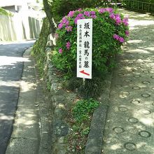 案内が出ている。